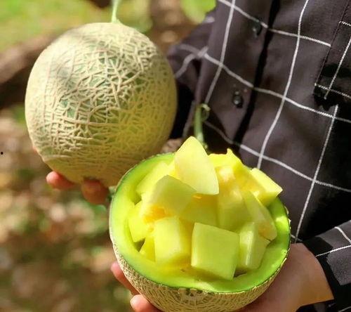 娱乐圈吃瓜壁纸图片高清,高清壁纸揭秘明星幕后生活  第3张