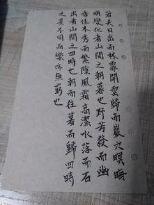 郎读者电影在线观看,穿越时光的深情告白  第2张